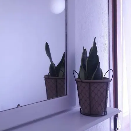 Mary's Appartement *